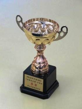 20111217-Peace2011TeeLogoComp-01.jpg