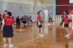 IMG_1077.jpg