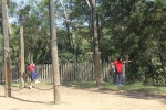IMG_1895.jpg
