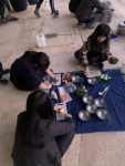 IMG_3766.jpeg
