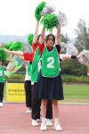 IMG_4731.jpg